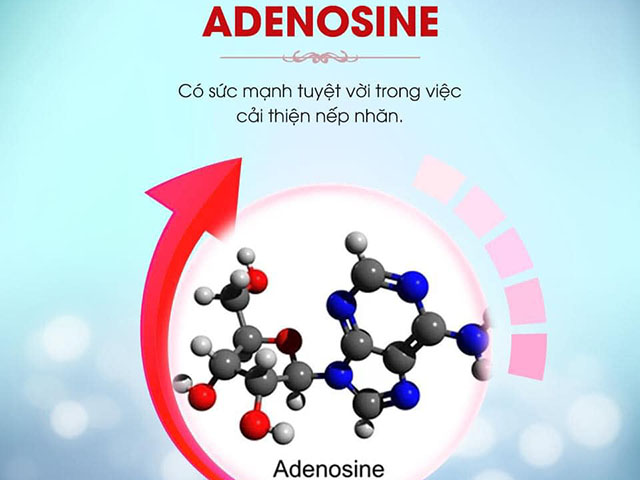Tác dụng của Adenosine trong Kem chống nắng ngừa nám hoàn hảo Edally EX Hàn Quốc nhập khẩu, chính hãng